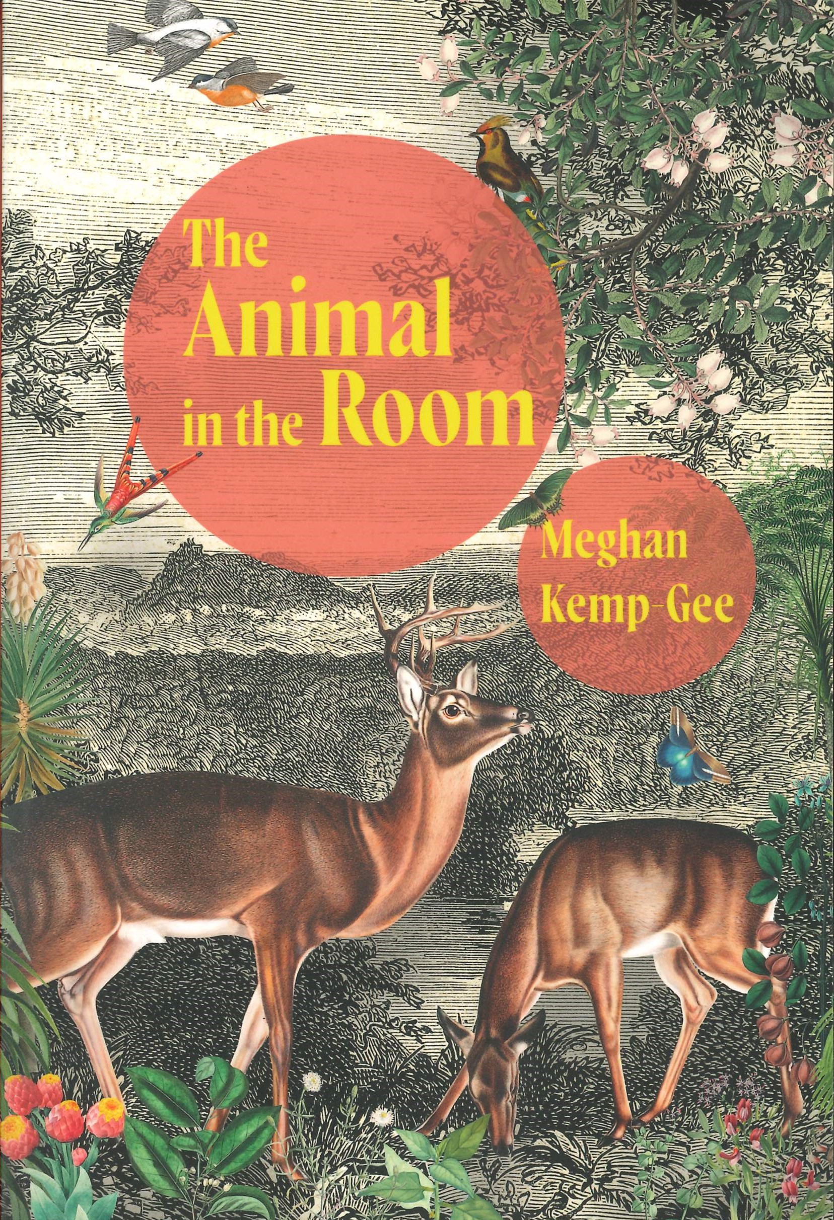 The Animal in the Room