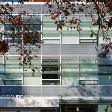 A photograph of the exterior of the library building with a maple tree in the foreground