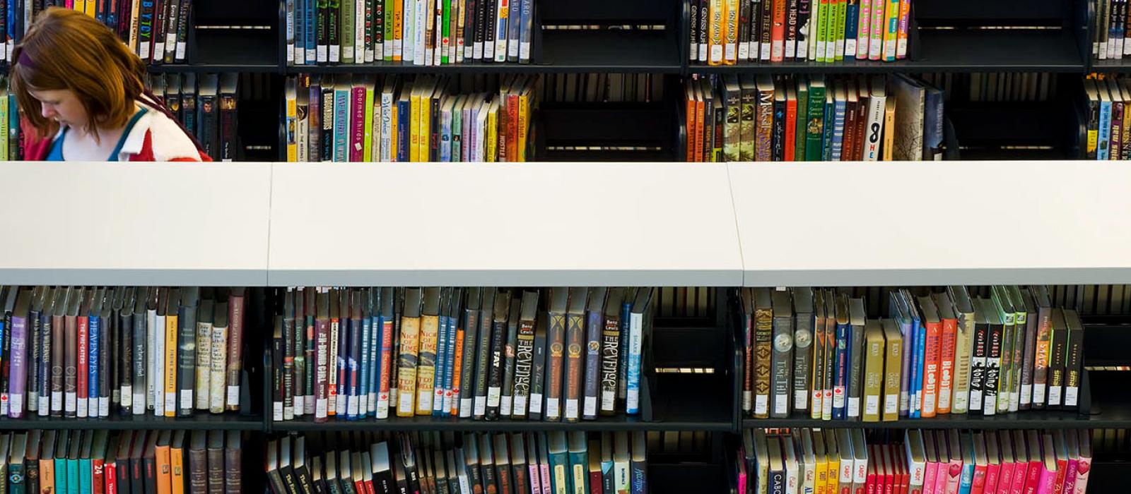 Photo of a person browsing books