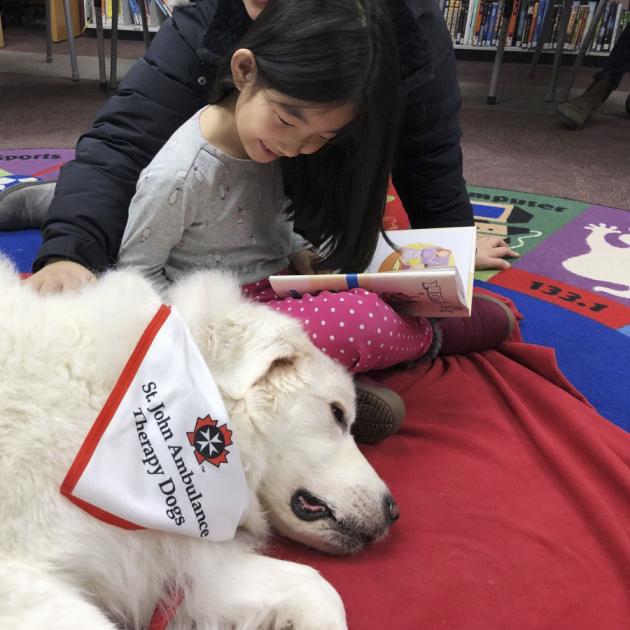 Image of a therapy dog helping a child read aloud