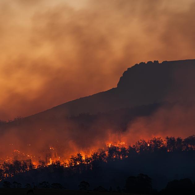 A forest fire off in the distance at dusk