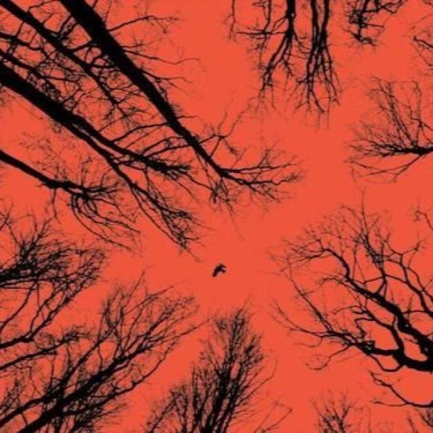 Silhouettes of trees and a crow set against a bright red sky