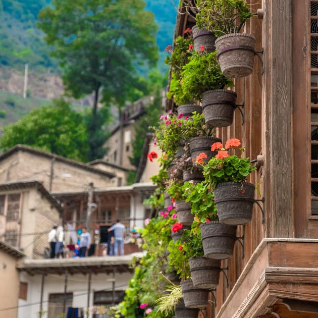 a row of potted geraniums hanging from a building