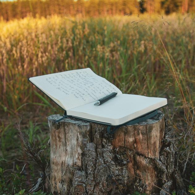 An open notebook and pen atop a tree stump 