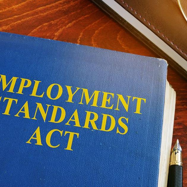 Employment Standards Act book