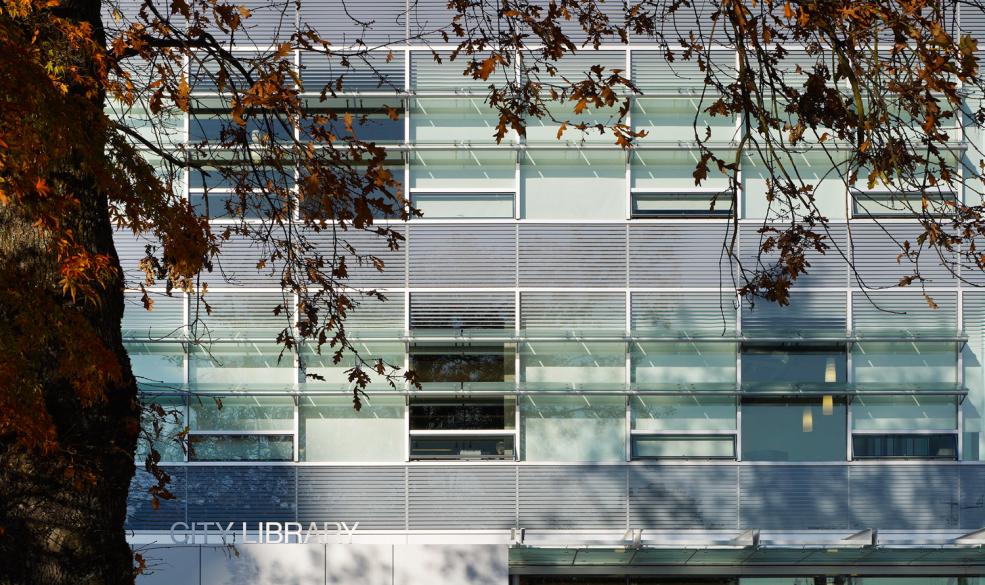 A photograph of the exterior of the library building with a maple tree in the foreground